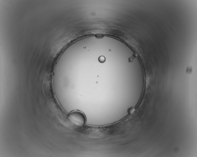 X0000113620297200909251212