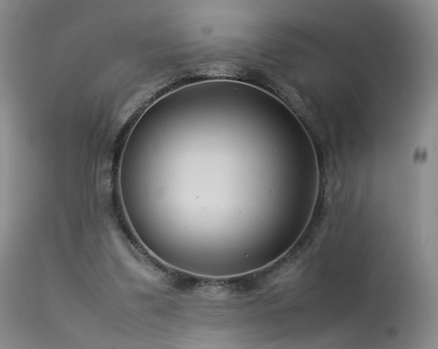 X0000113620299200909251212