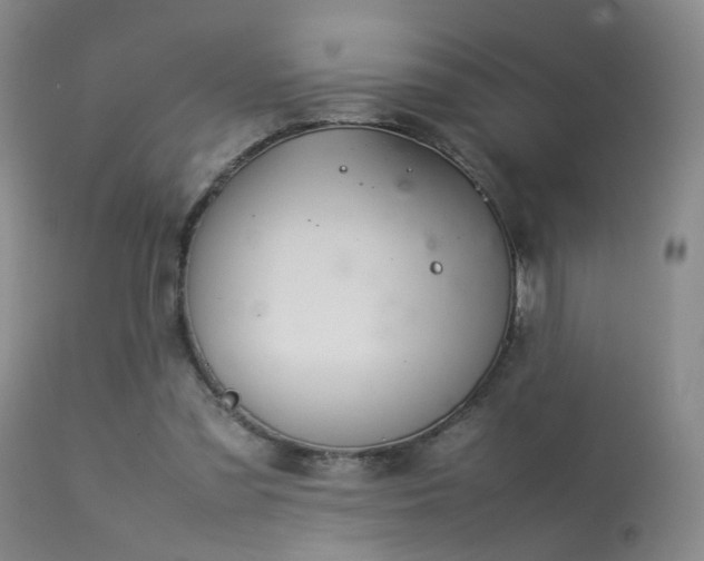 X0000113620301200909251212