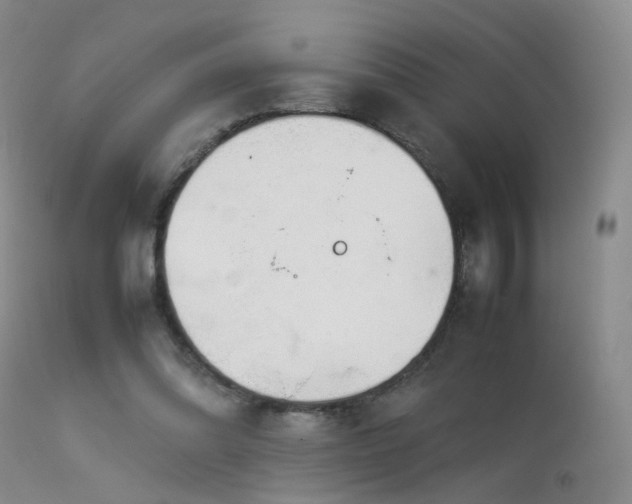 X0000113620302200909251212