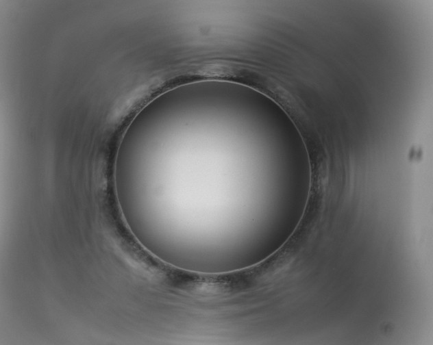 X0000113620303200909251212