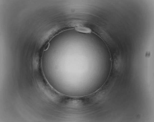 X0000113620304200909251212