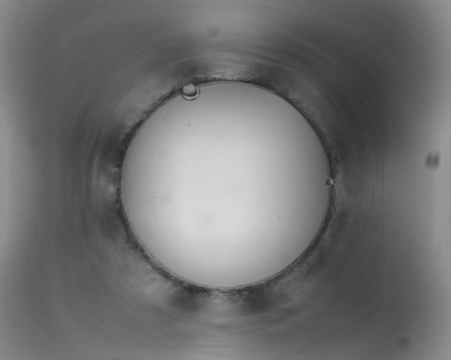 X0000113620305200909251212