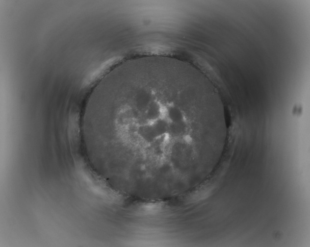 X0000113620306200909251212