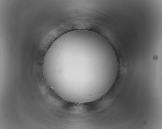 X0000113620307200909251212