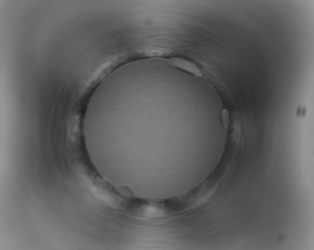 X0000113620308200909251212