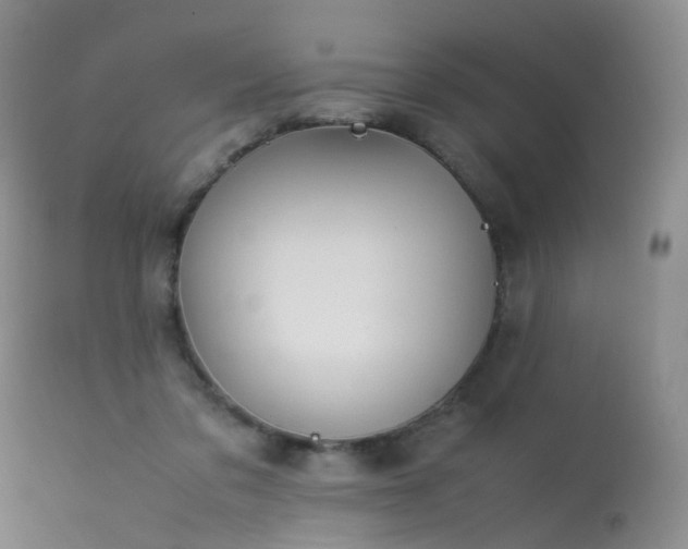 X0000113620309200909251212