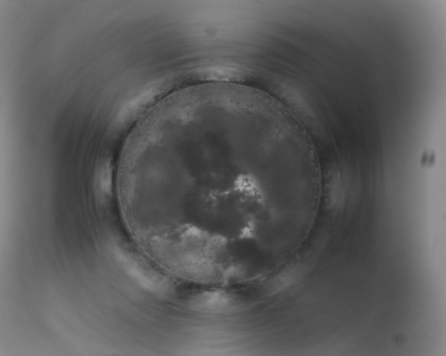 X0000113620310200909251212