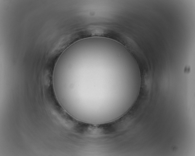 X0000113620311200909251212