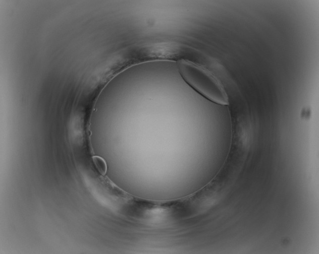 X0000113620312200909251212