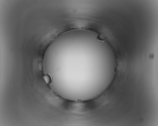 X0000113620313200909251212