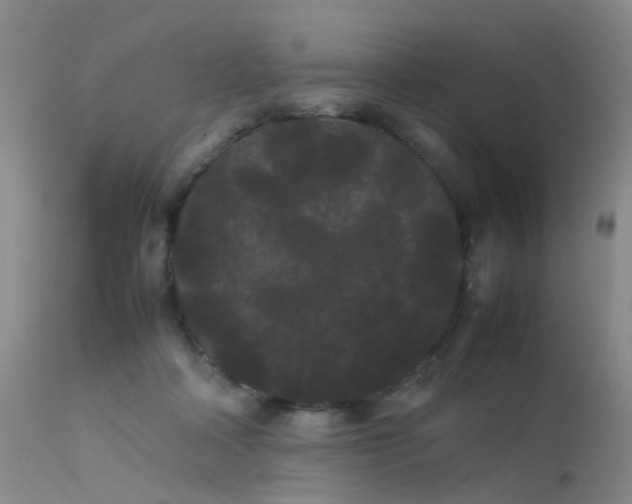 X0000113620314200909251212