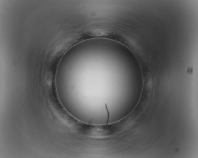 X0000113620315200909251212