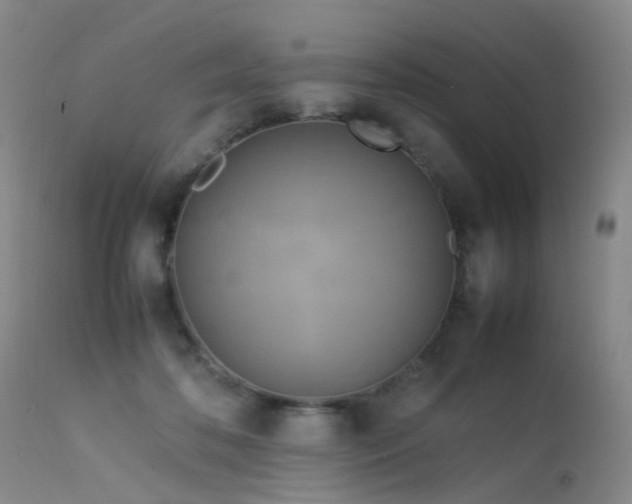 X0000113620316200909251212