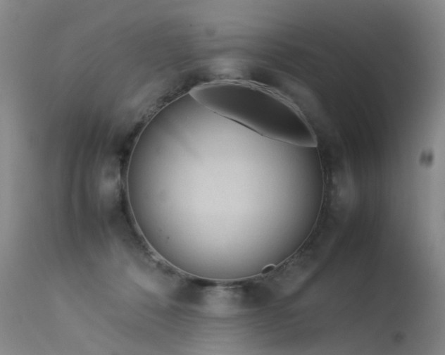 X0000113620320200909251212