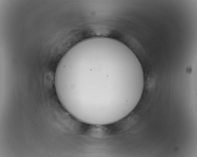 X0000113620321200909251212