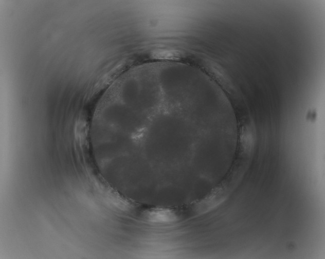 X0000113620322200909251212