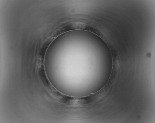 X0000113620323200909251212