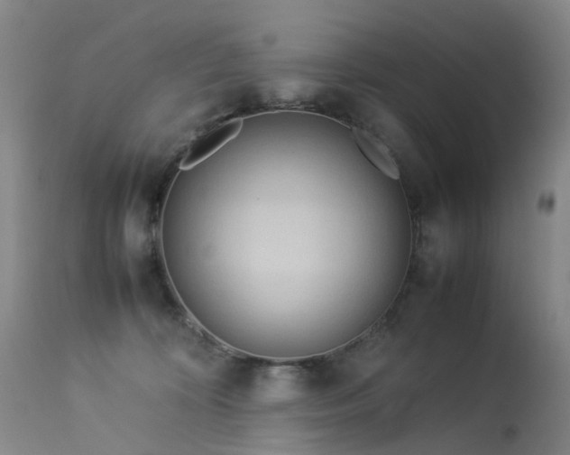 X0000113620324200909251212