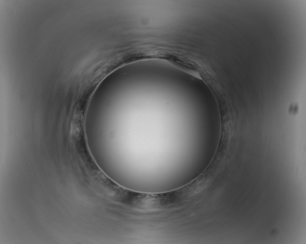 X0000113620325200909251212