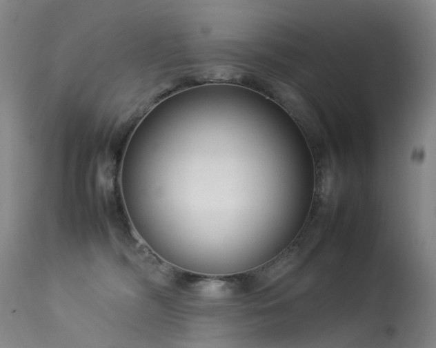 X0000113620326200909251212