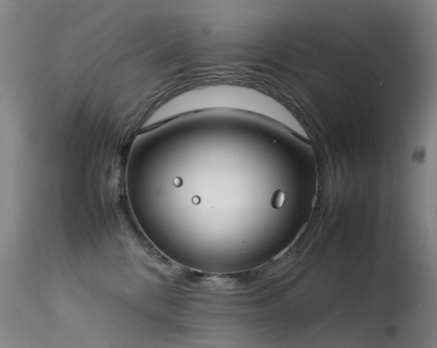 X0000113620328200909251212