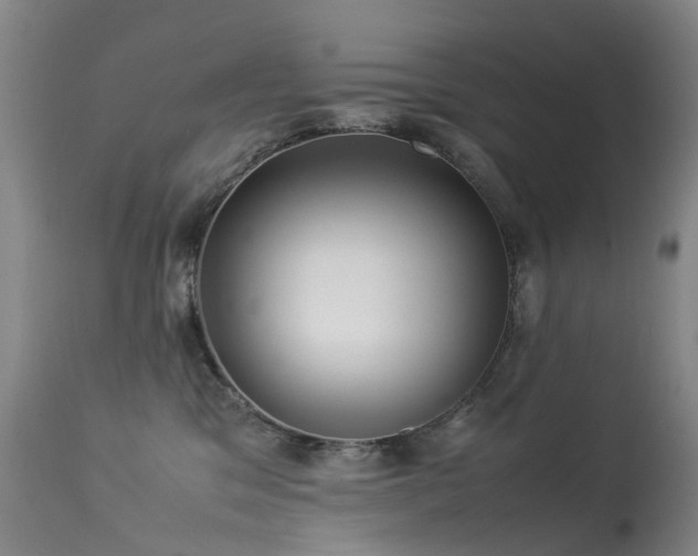 X0000113620329200909251212