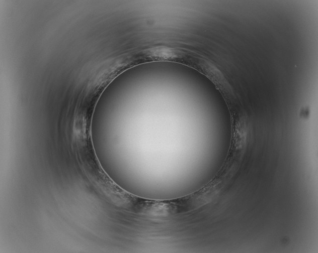 X0000113620330200909251212