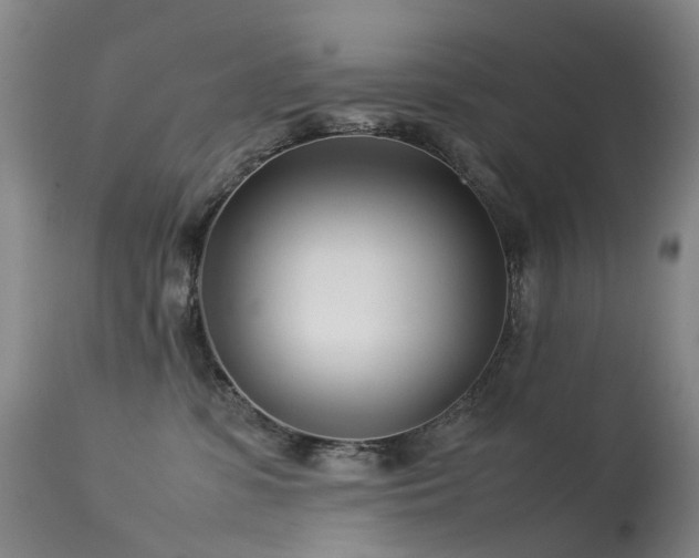 X0000113620331200909251212