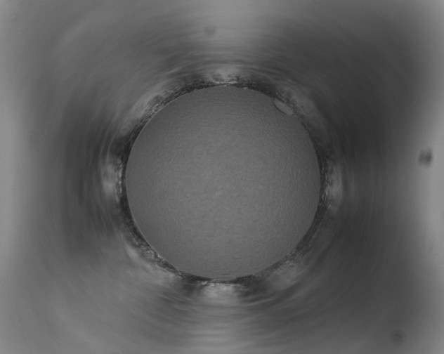 X0000113620332200909251212