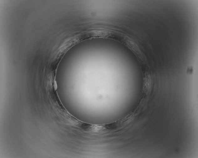 X0000113620333200909251212