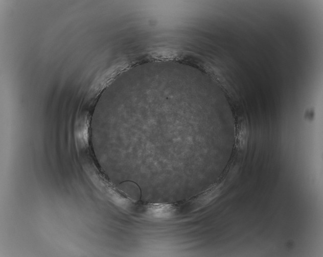 X0000113620334200909251212