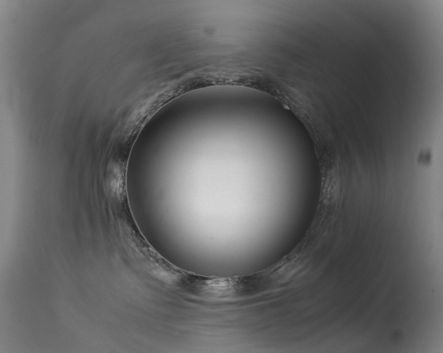 X0000113620335200909251212