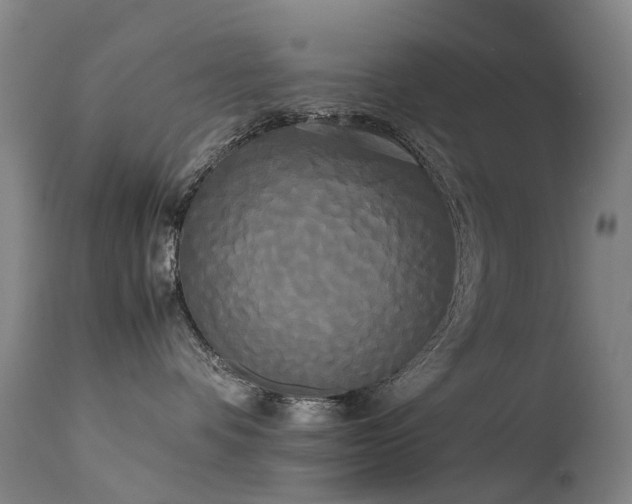 X0000113620336200909251212