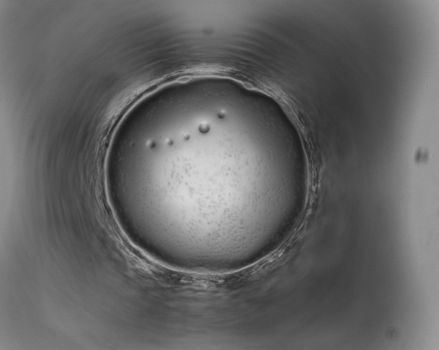 X0000113620337200909251211