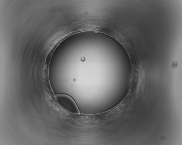 X0000113620338200909251211