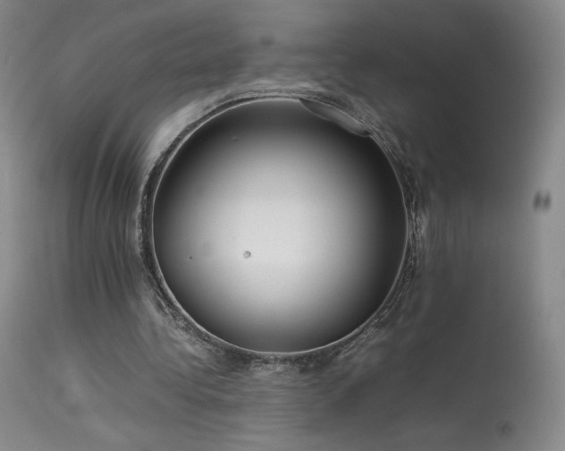 X0000113620340200909251211