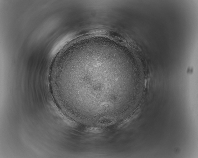 X0000113620341200909251211