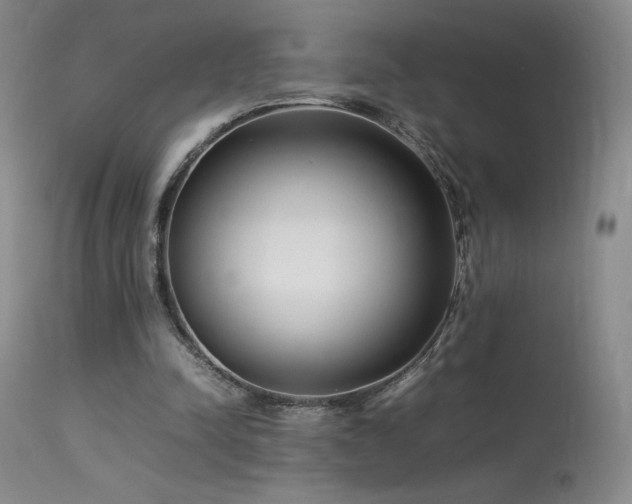 X0000113620342200909251211