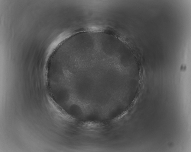 X0000113620343200909251211