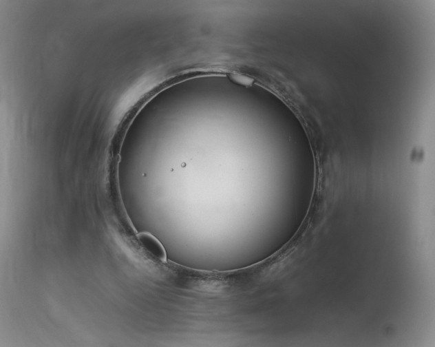 X0000113620344200909251211