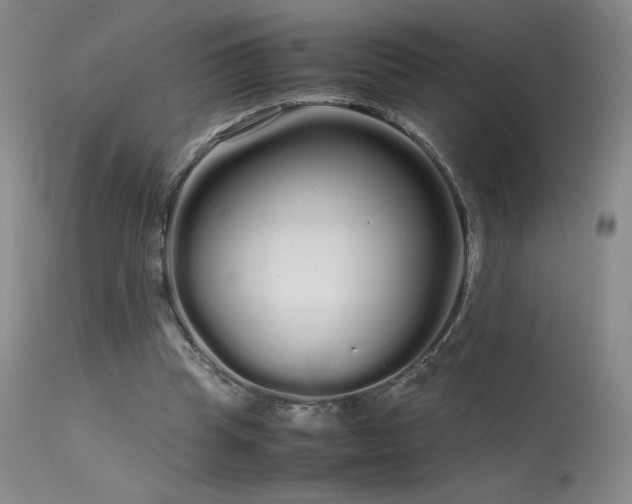 X0000113620345200909251211