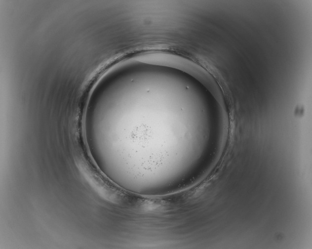 X0000113620346200909251211