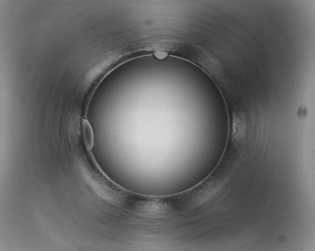 X0000113620348200909251211