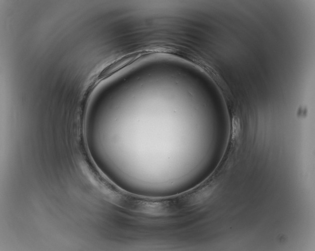 X0000113620349200909251211