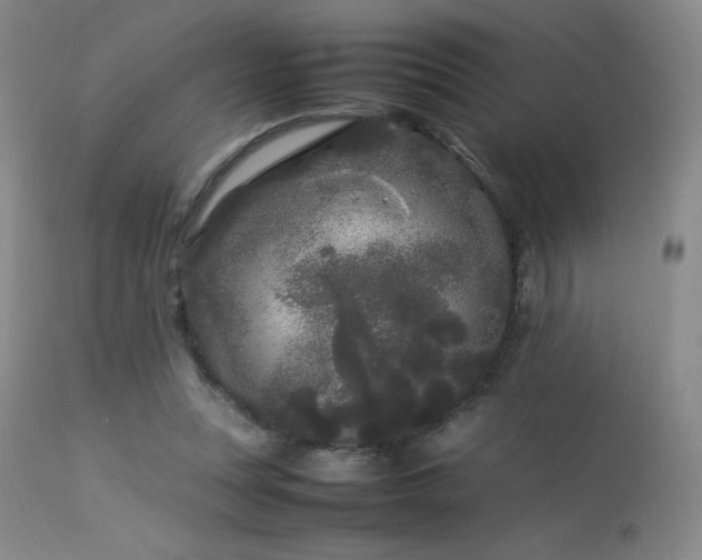 X0000113620351200909251211