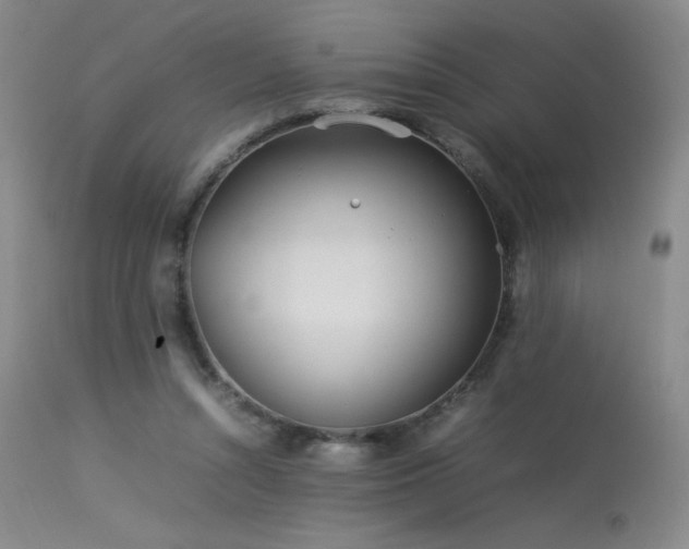 X0000113620352200909251211