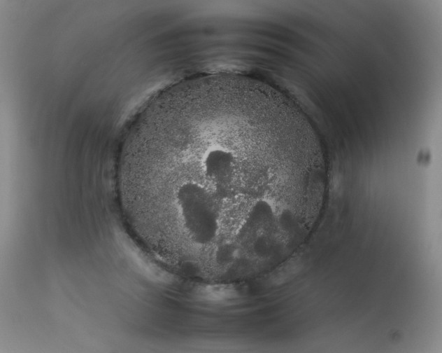 X0000113620353200909251211