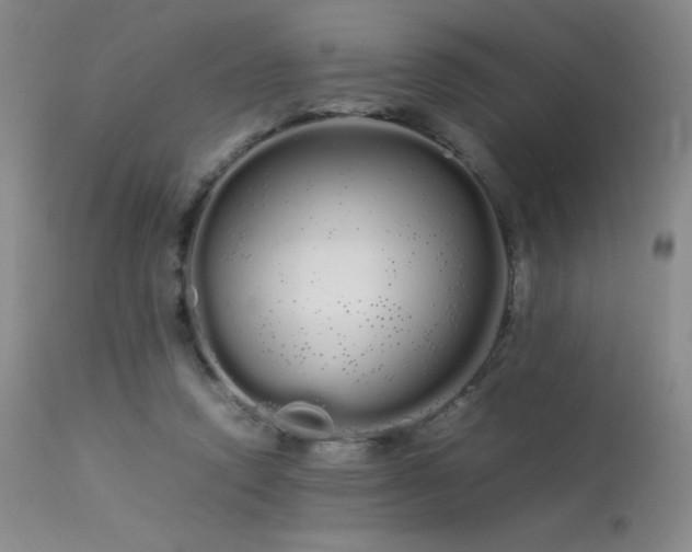 X0000113620354200909251211