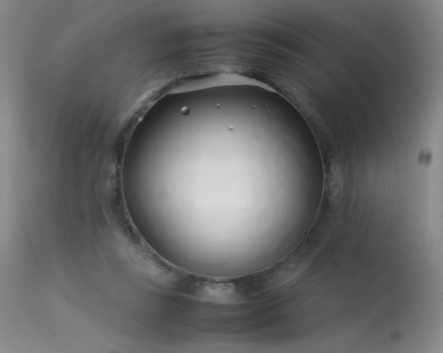 X0000113620355200909251211